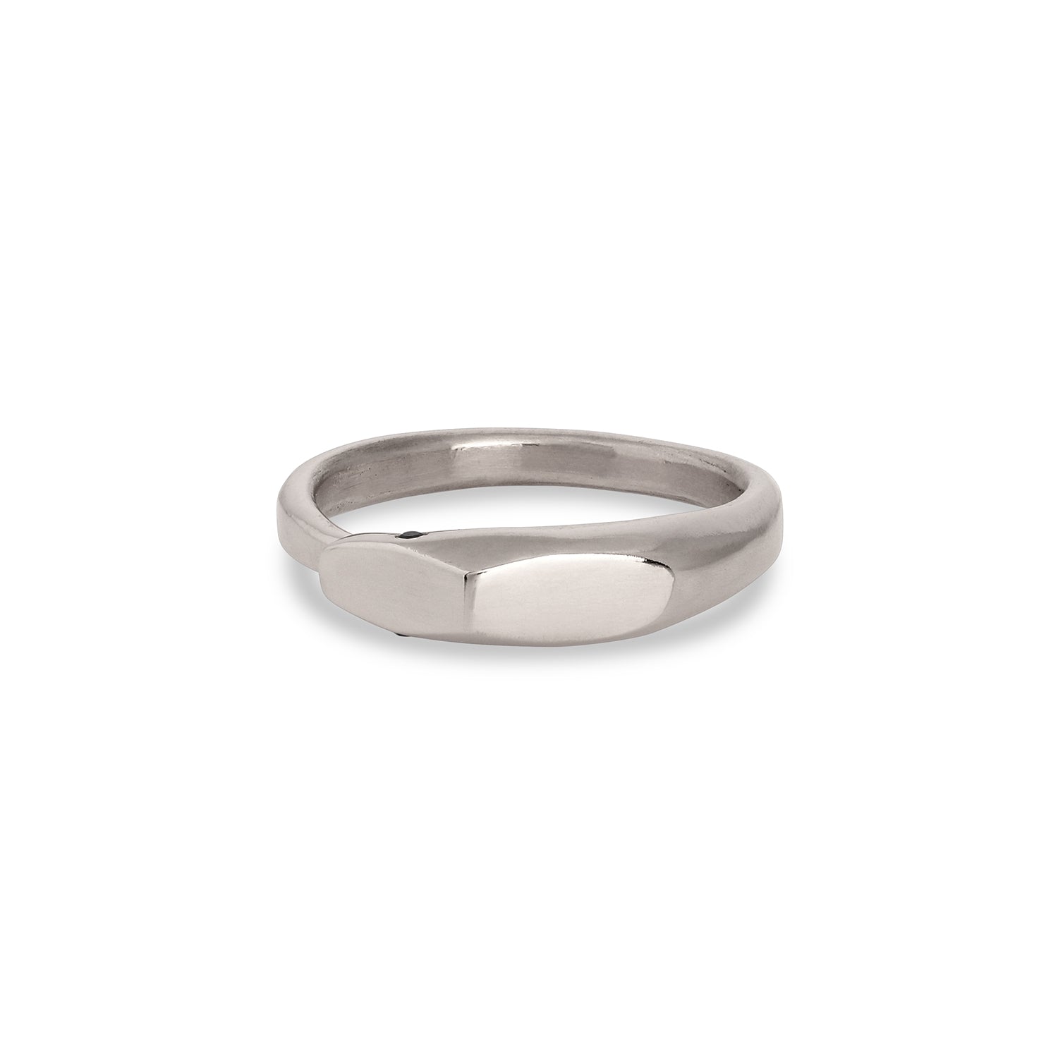 Gender neutral Ouroboros Ring || White gold palladium - 12th HOUSE