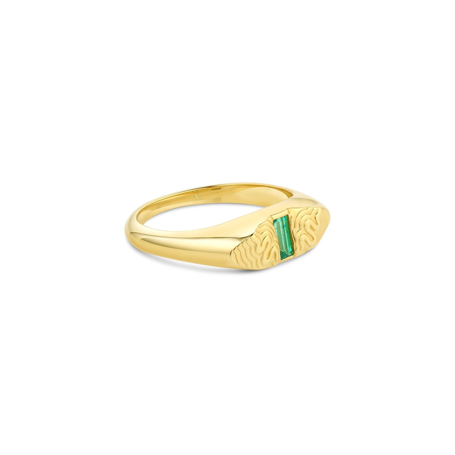 Psychedelic Snake Emerald Signet - 12th HOUSE
