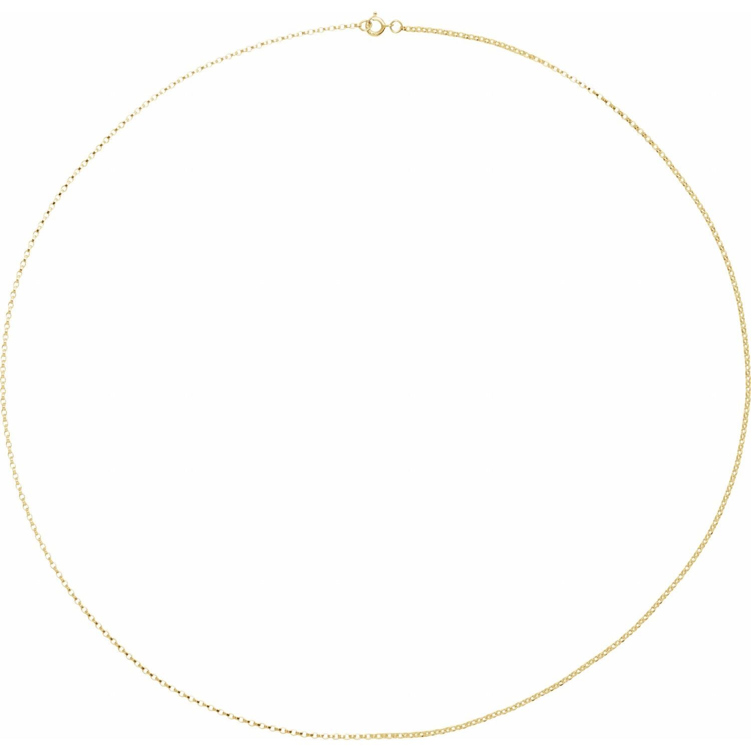 12th HOUSE  14k gold Rolo chain