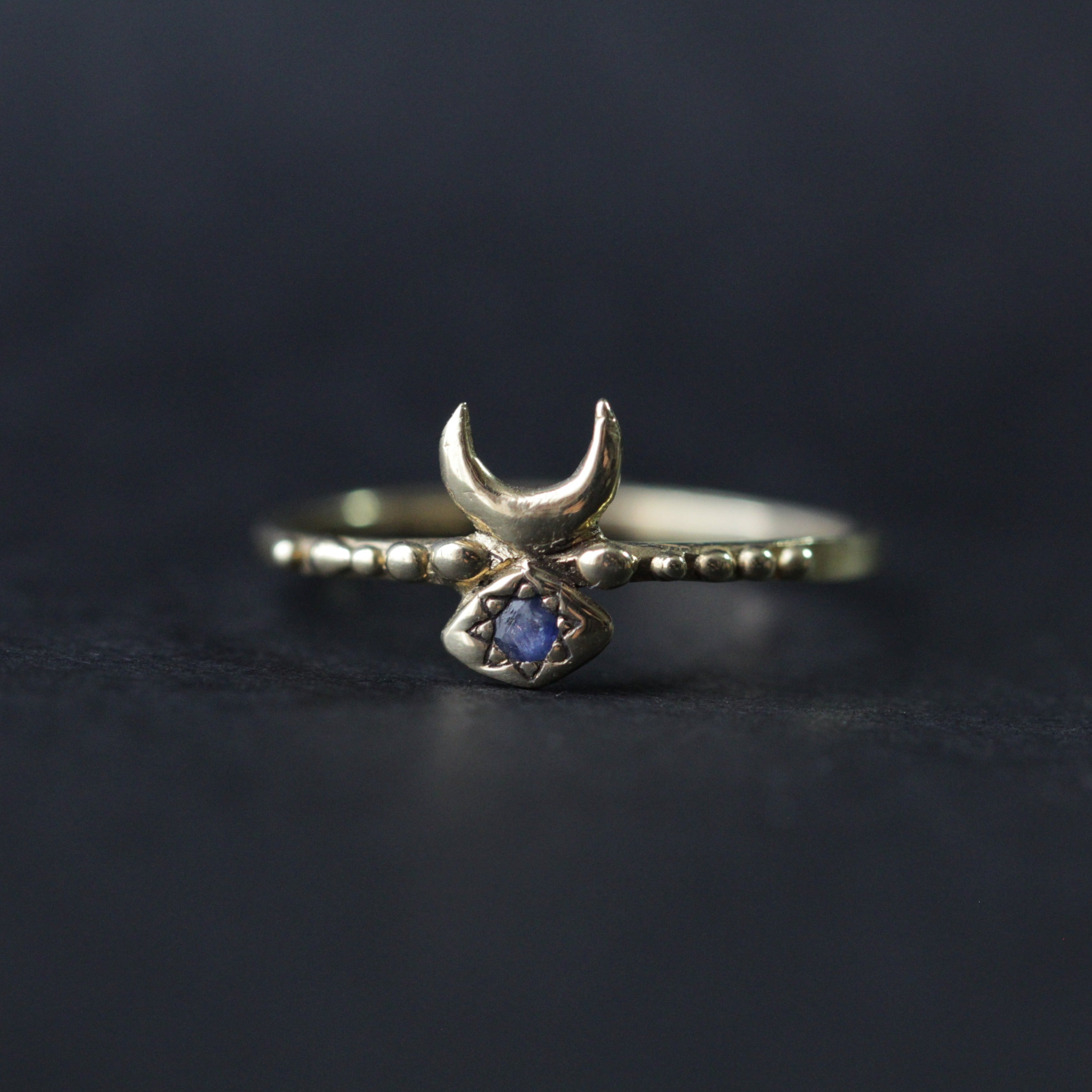 Inanna Moon Stacking Ring - 12th HOUSE