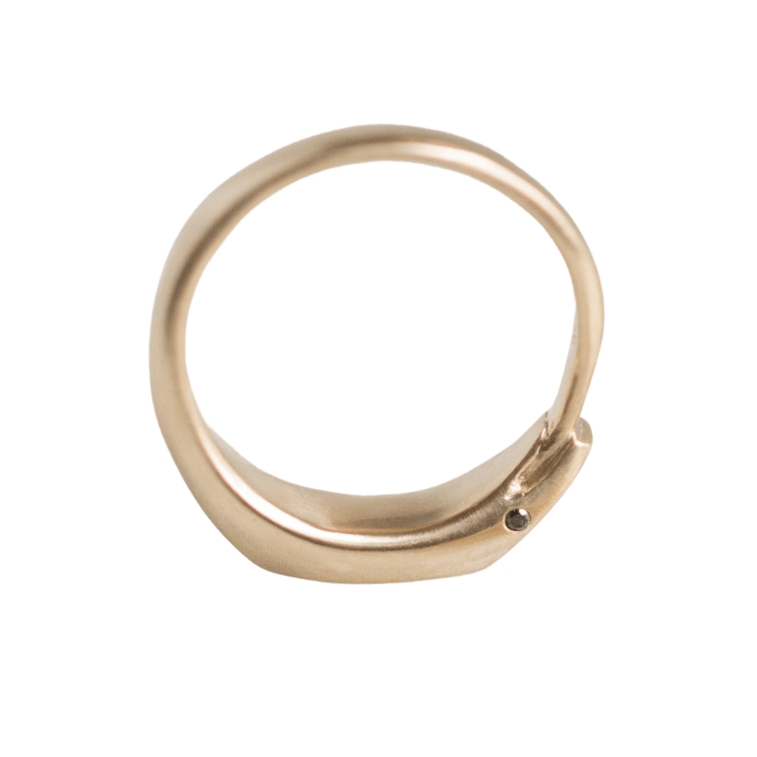 Fine Ouroboros Edit RING Ouroboros Ring | 6mm wide