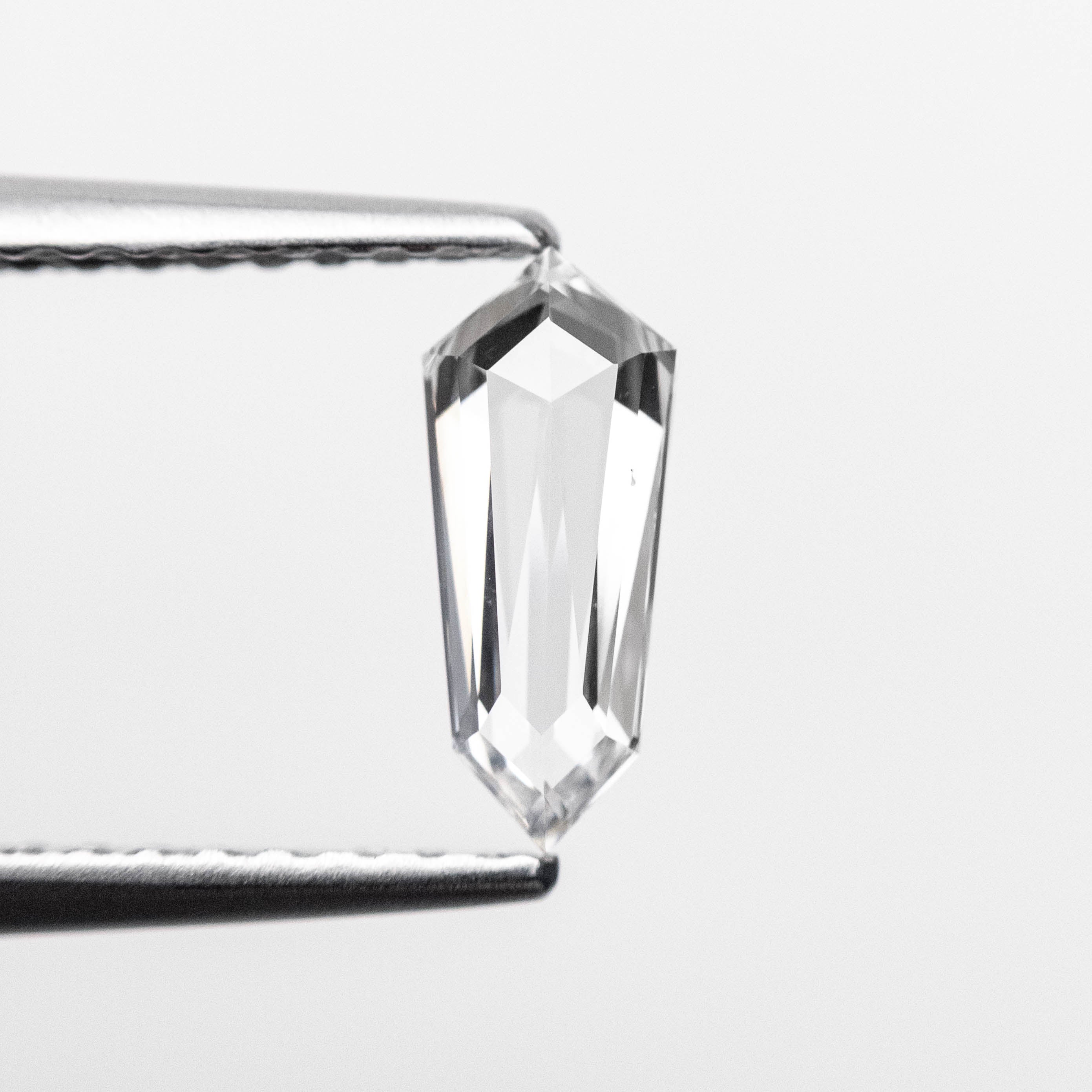 White light Shield Rose cut Diamond - 12th HOUSE